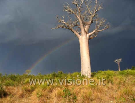 Madagascar fuoristrada