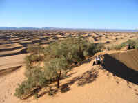 Mazmou Dune Eli IMG_0984.jpg (151245 byte)