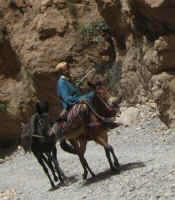 Dades, Boumalne, M'Goun, Skoura, Ouarzazate