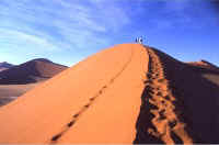 Dune forty five