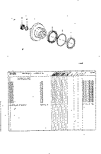 Differenziale R100 ingranaggi.GIF (36487 byte)