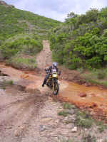 2004-05-28_011.JPG (1226060 byte)