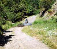 honda guado.jpg (2288228 byte)