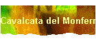 Cavalcata del Monferrato 2006