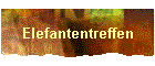 Elefantentreffen