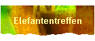 Elefantentreffen