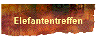 Elefantentreffen