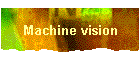 Machine vision