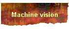 Machine vision