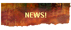NEWS!