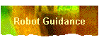 Robot Guidance