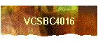 VCSBC4016