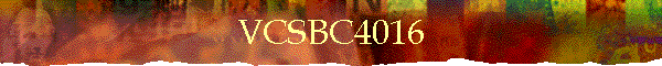 VCSBC4016